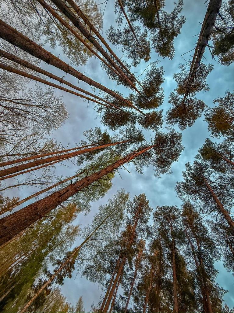 Villa Maennituka Kirikukula  Exteriér fotografie